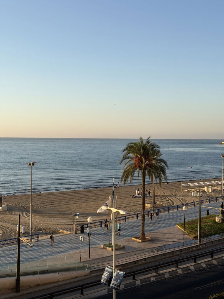 Strandpromenade mit Palme und Blick aufs Meer